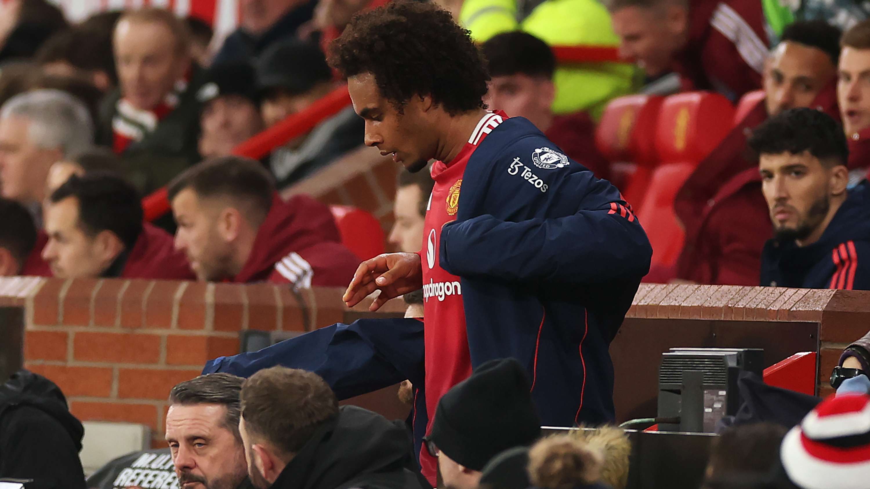 他们不仅能 他们不仅能